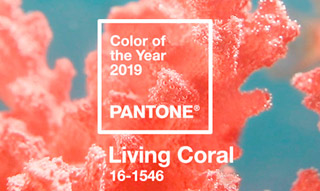 Pantone of the Year