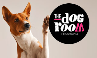 The Dog Room